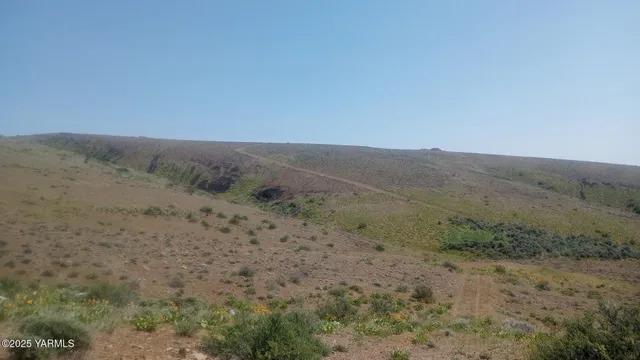 a view of a dry field