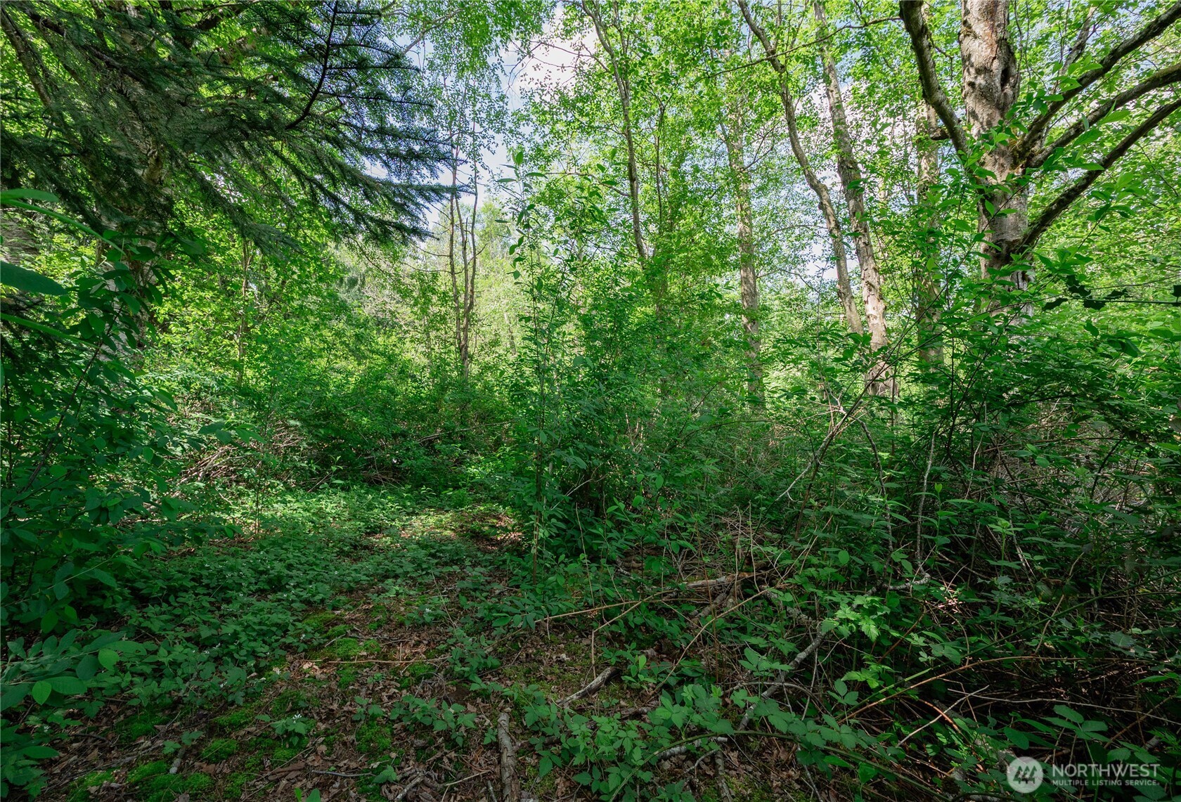 6011 Medcalf Road Bellingham, WA 98226 - Photo 13 of 22 Gallery Image 13