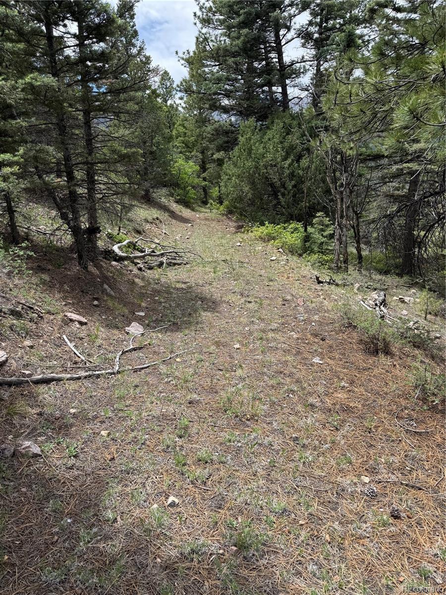 Knotty Pine Road Salida, CO 81201 - Photo 18 of 42 Gallery Image 18
