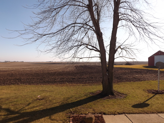 2760 North 3350th Road Marseilles, IL 61341 - Photo 23 of 24 a view of ocean view with large tree