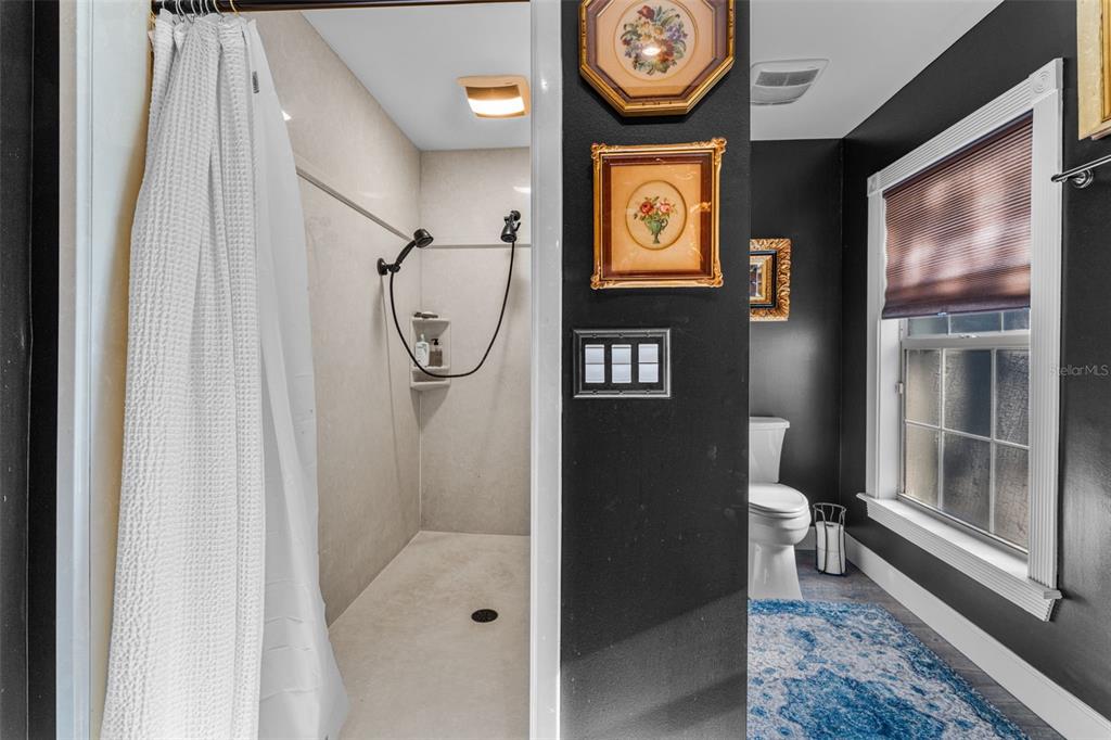 126 East Palmetto Avenue Howey-in-the-Hills, FL 34737 - Photo 41 of 53