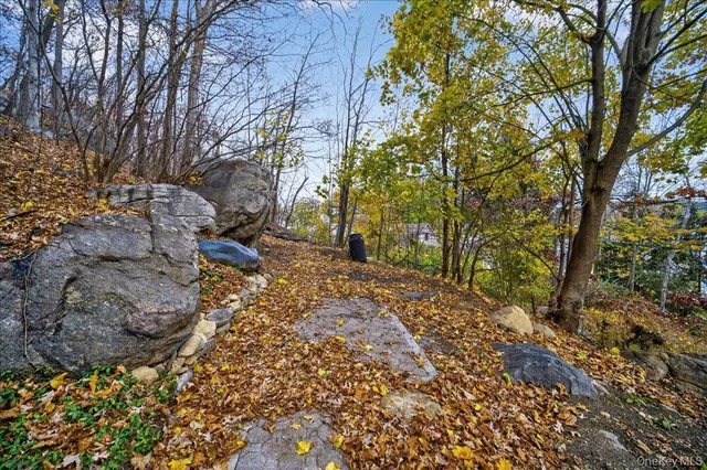 a view of a yard with large trees