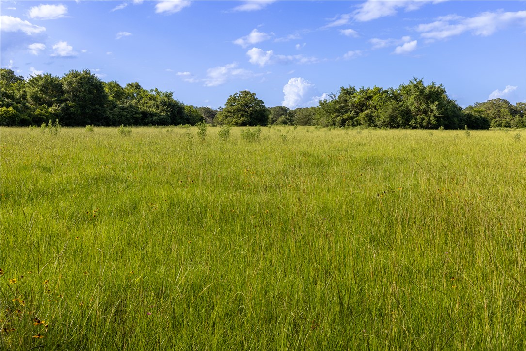10102 Ferrill Creek Road Bryan, TX 77808 - Photo 29 of 29