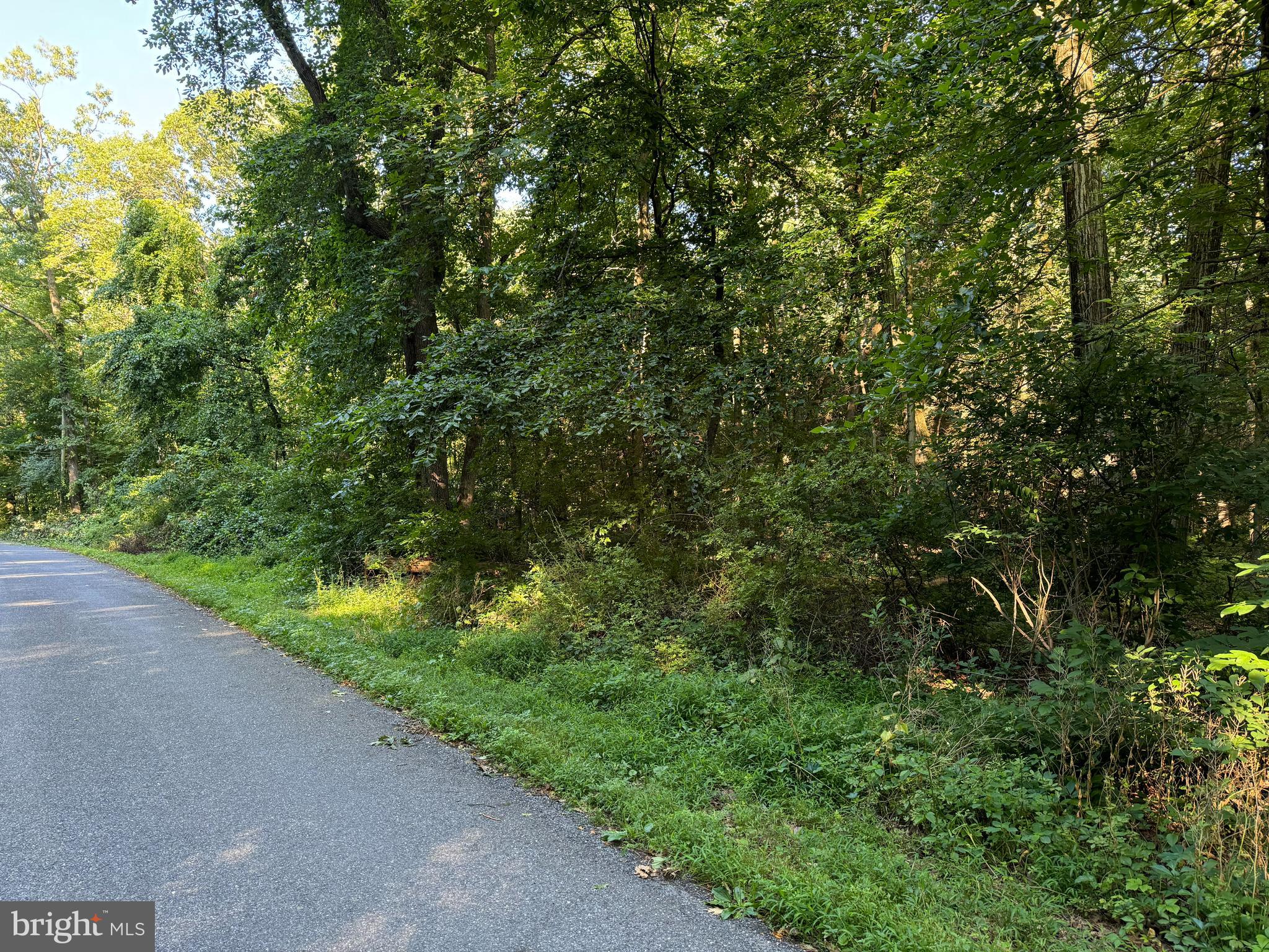 Lot 3 Bloody Spring Road Bernville, PA 19506 - Photo 1 of 4 Gallery Image 1