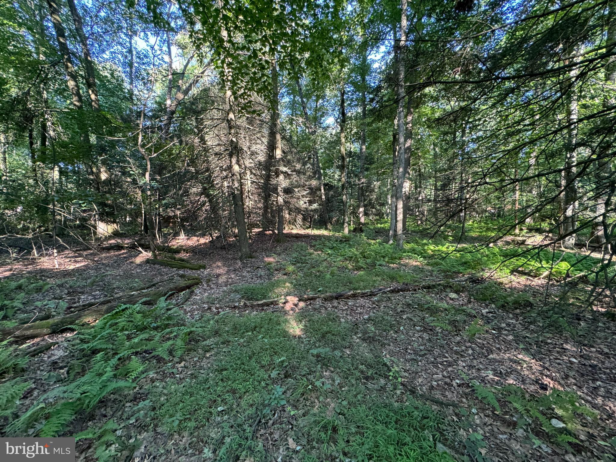 Lot 3 Bloody Spring Road Bernville, PA 19506 - Photo 2 of 4 Gallery Image 2