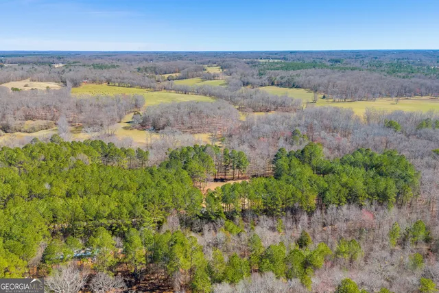 $830,000 | 599 Double Branch Road, Danielsville, GA 30633