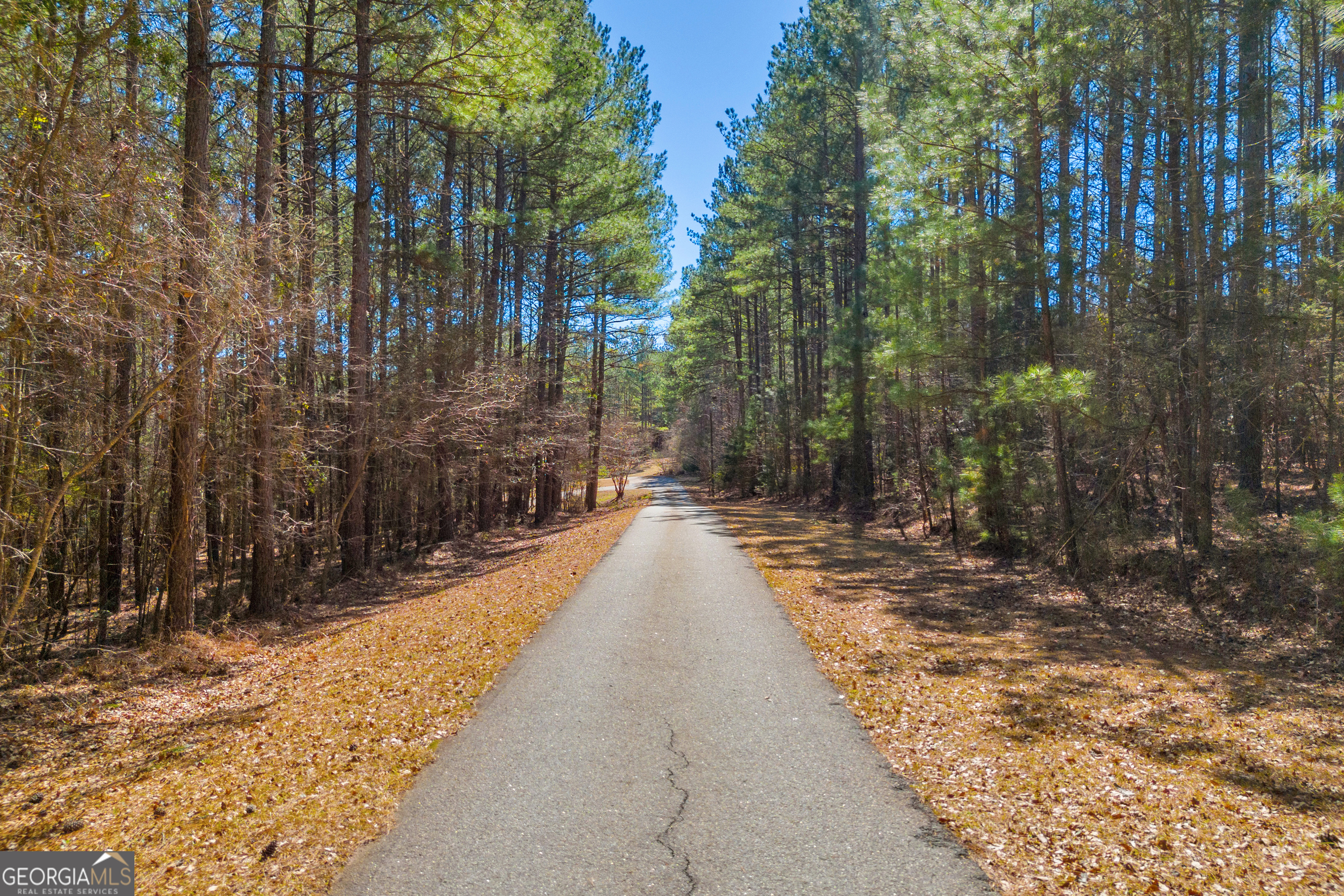 599 Double Branch Road Danielsville, GA 30633 - Photo 113 of 158 a view of a pathway with a wrought fence