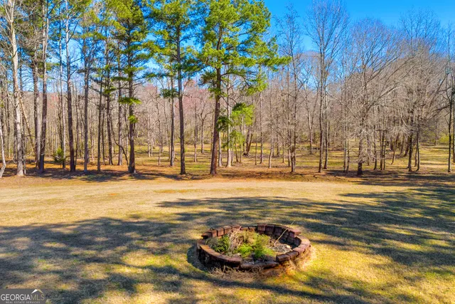 $830,000 | 599 Double Branch Road, Danielsville, GA 30633