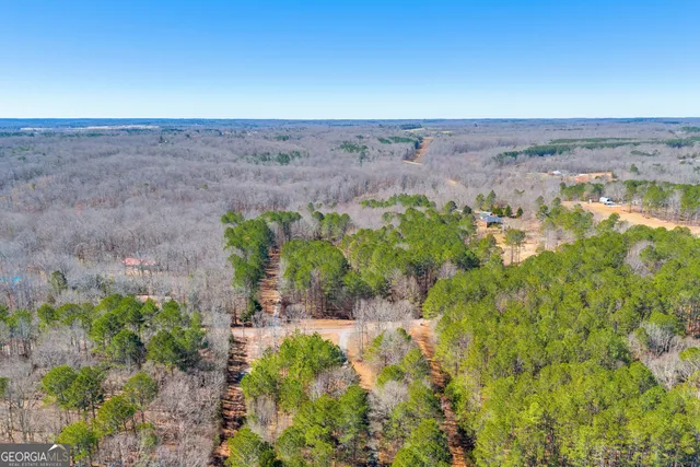 $830,000 | 599 Double Branch Road, Danielsville, GA 30633