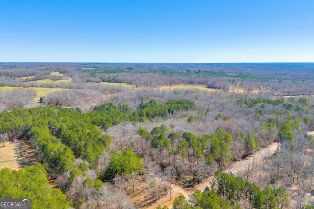 $830,000 | 599 Double Branch Road, Danielsville, GA 30633