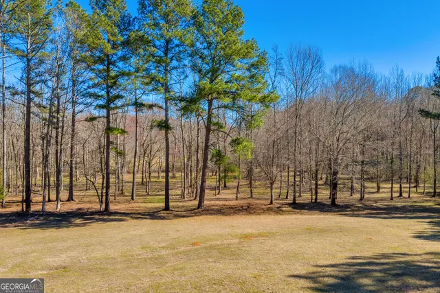 $830,000 | 599 Double Branch Road, Danielsville, GA 30633