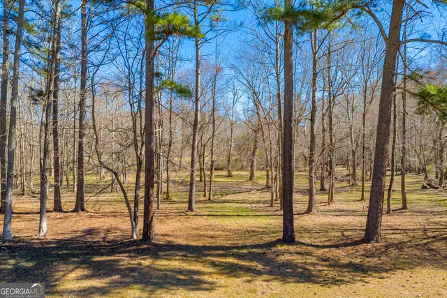 $830,000 | 599 Double Branch Road, Danielsville, GA 30633