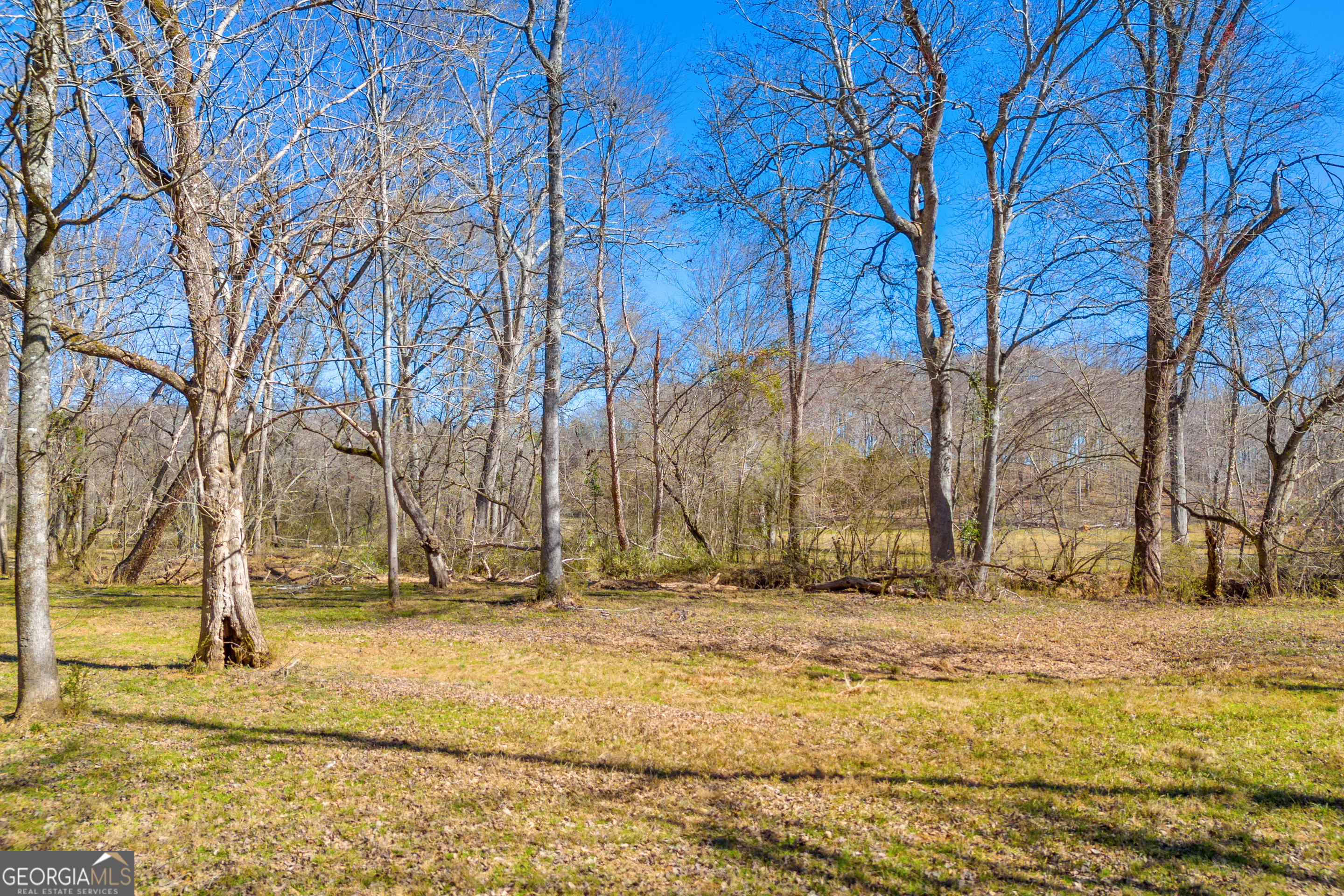 599 Double Branch Road Danielsville, GA 30633 - Photo 93 of 158