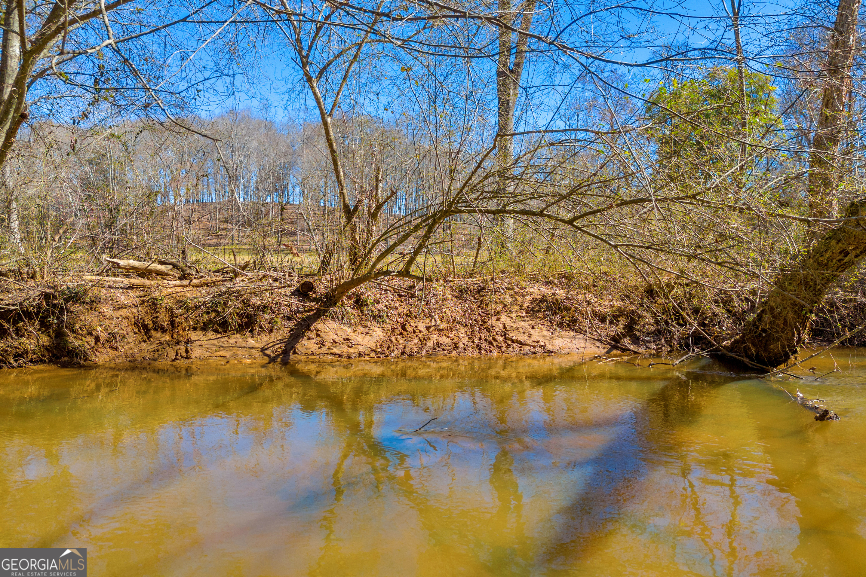 599 Double Branch Road Danielsville, GA 30633 - Photo 95 of 158