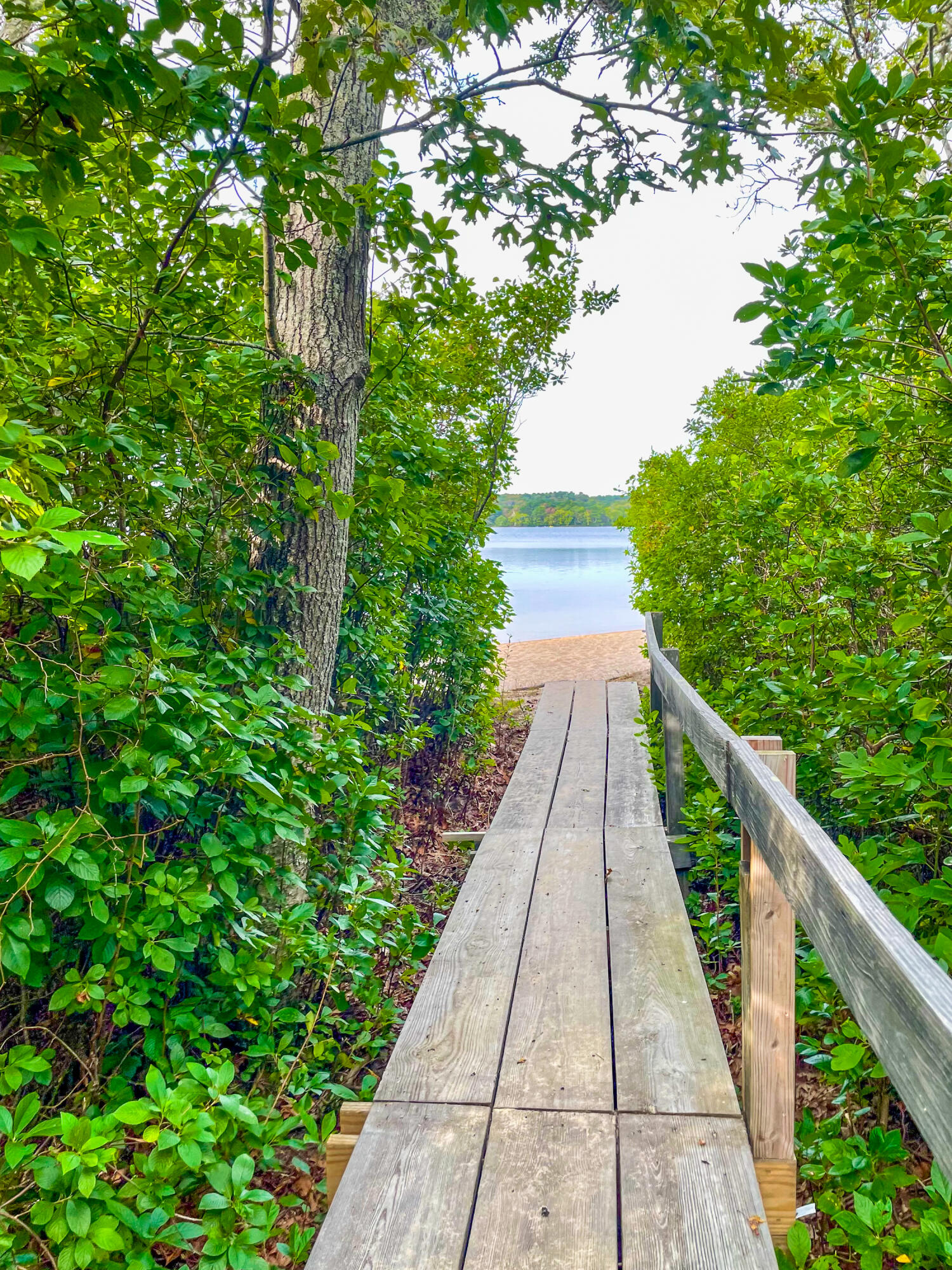 7 Captain Scott Road Harwich, MA 02645 - Photo 2 of 41 a view of a pathway both side of yard