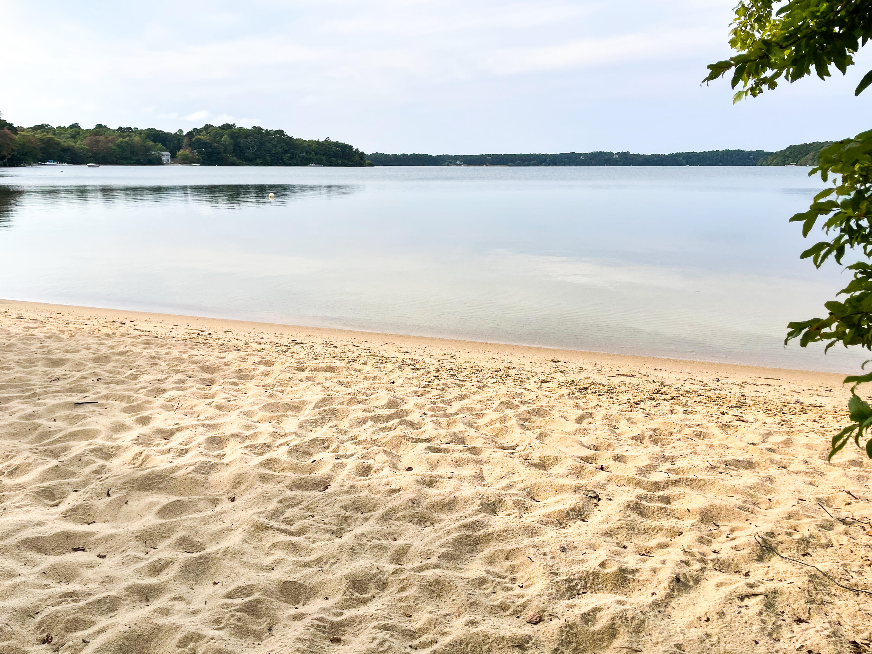 7 Captain Scott Road Harwich, MA 02645 - Photo 3 of 41 a view of lake