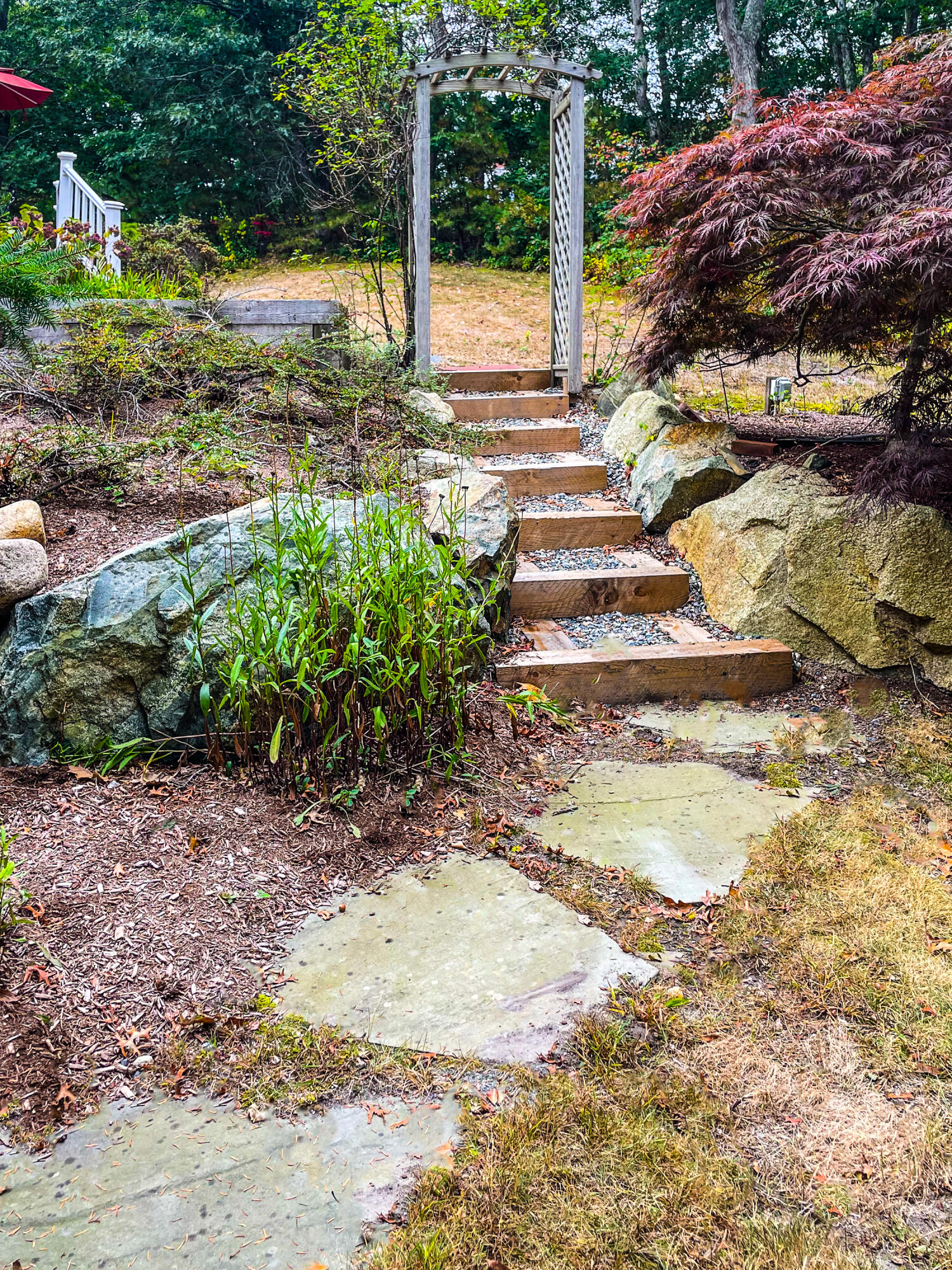 7 Captain Scott Road Harwich, MA 02645 - Photo 8 of 41 a view of a yard with plants