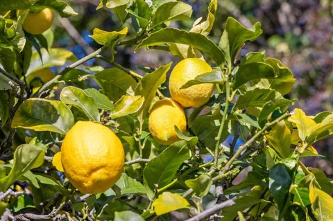 a bathroom with a sink a toilet a mirror and vanity