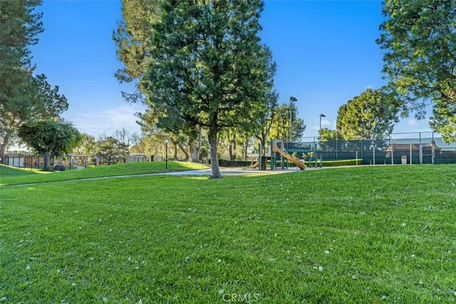 a view of a park with large trees