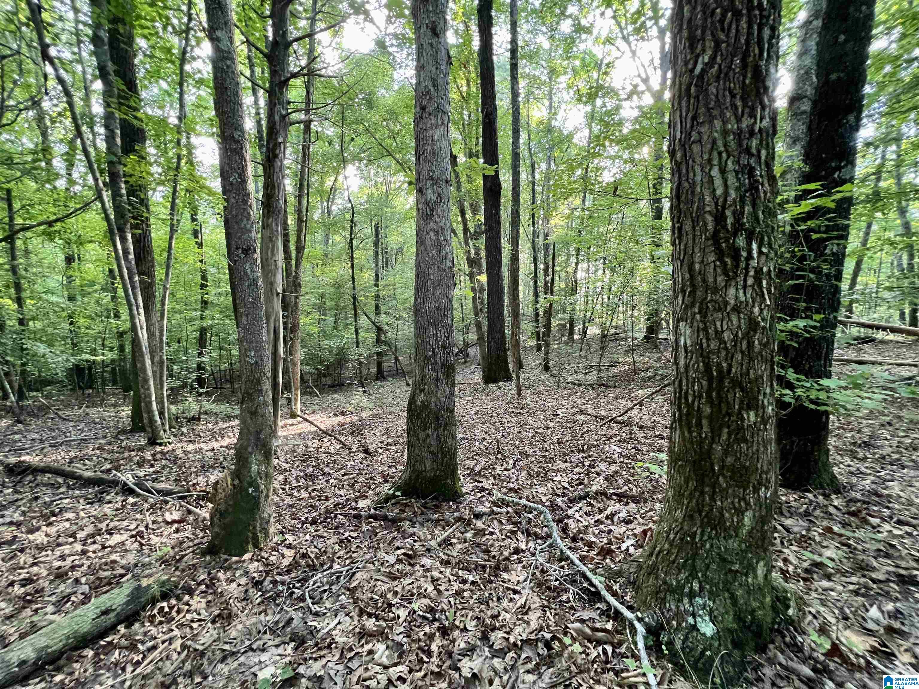 1515 Kelly Ranch Road, Unit 138 ACRES / Talladega, AL 35160 - Photo 24 of 42