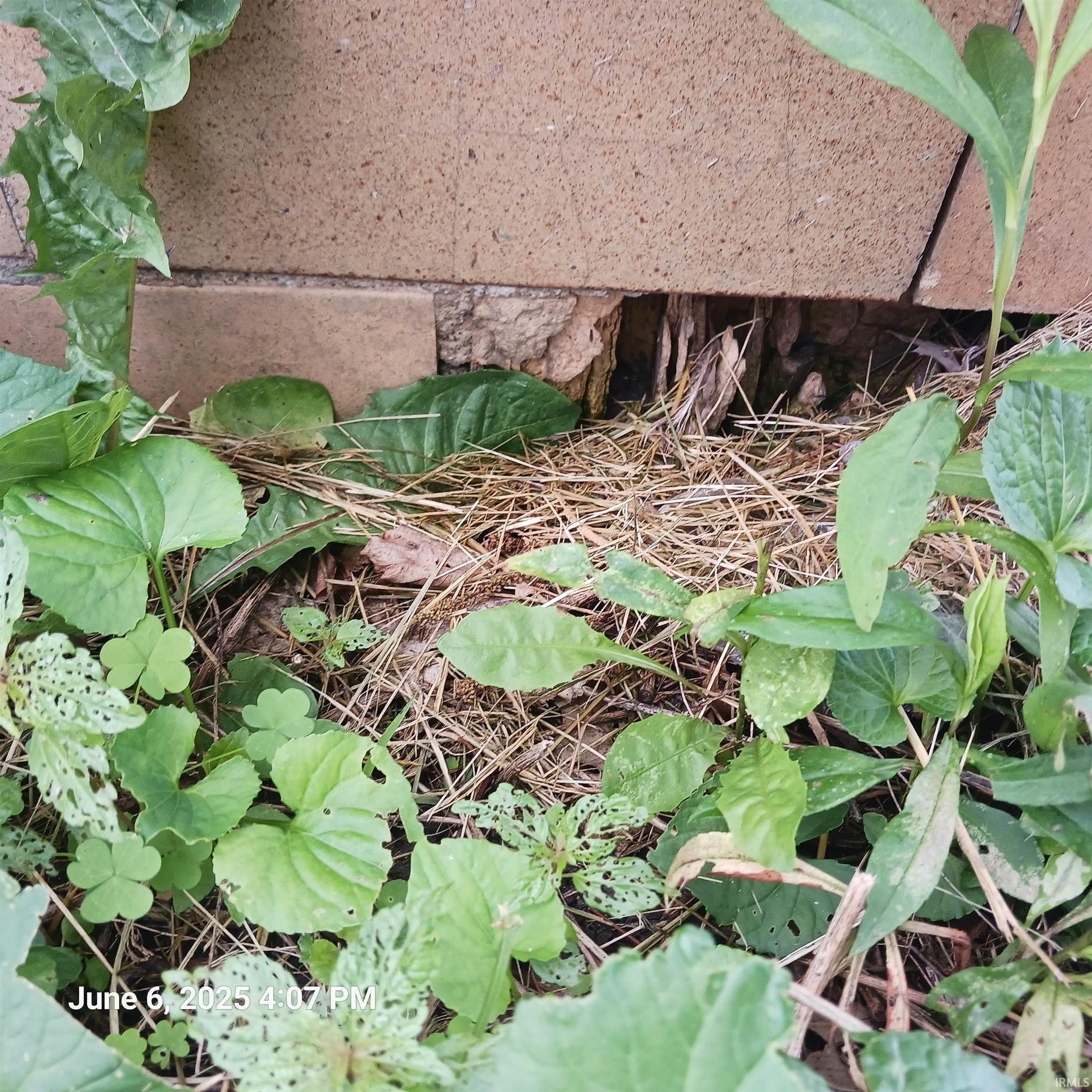 605 North Columbia Street Brazil, IN 47834 - Photo 7 of 36