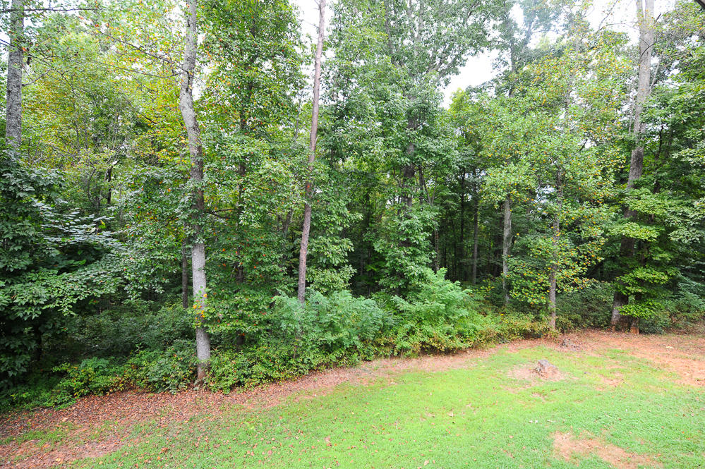 222 Meadow Road Friendsville, TN 37737 - Photo 20 of 26 DSC_0786