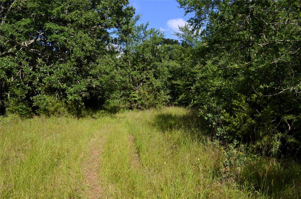 760 County Road, Unit 2315 Eustace, TX 75124 - Photo 17 of 19 a view of a lake view