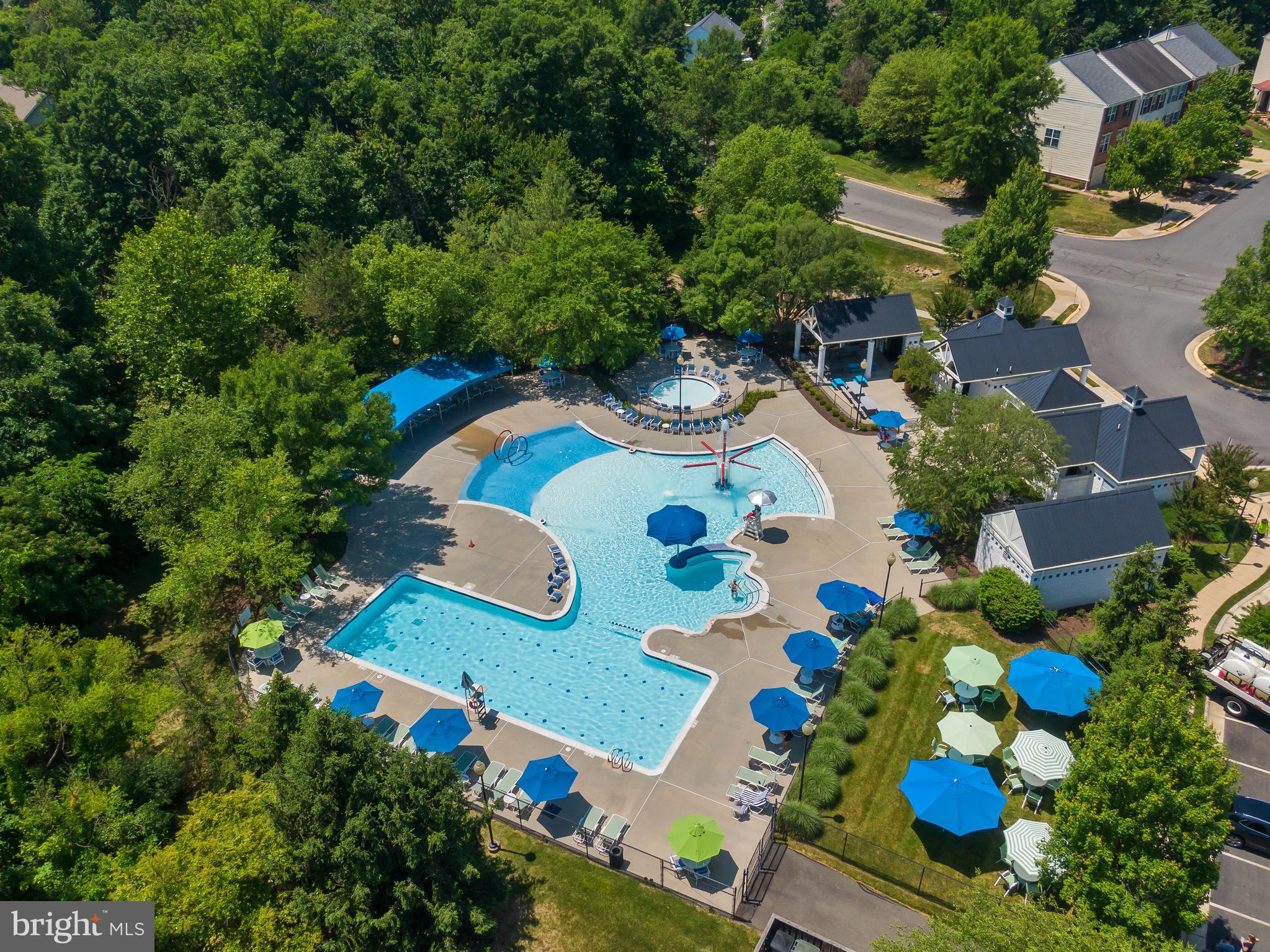 21340 Rainier Lane Broadlands, VA 20148 - Photo 58 of 62 Broadlands Summerbrooke Pool