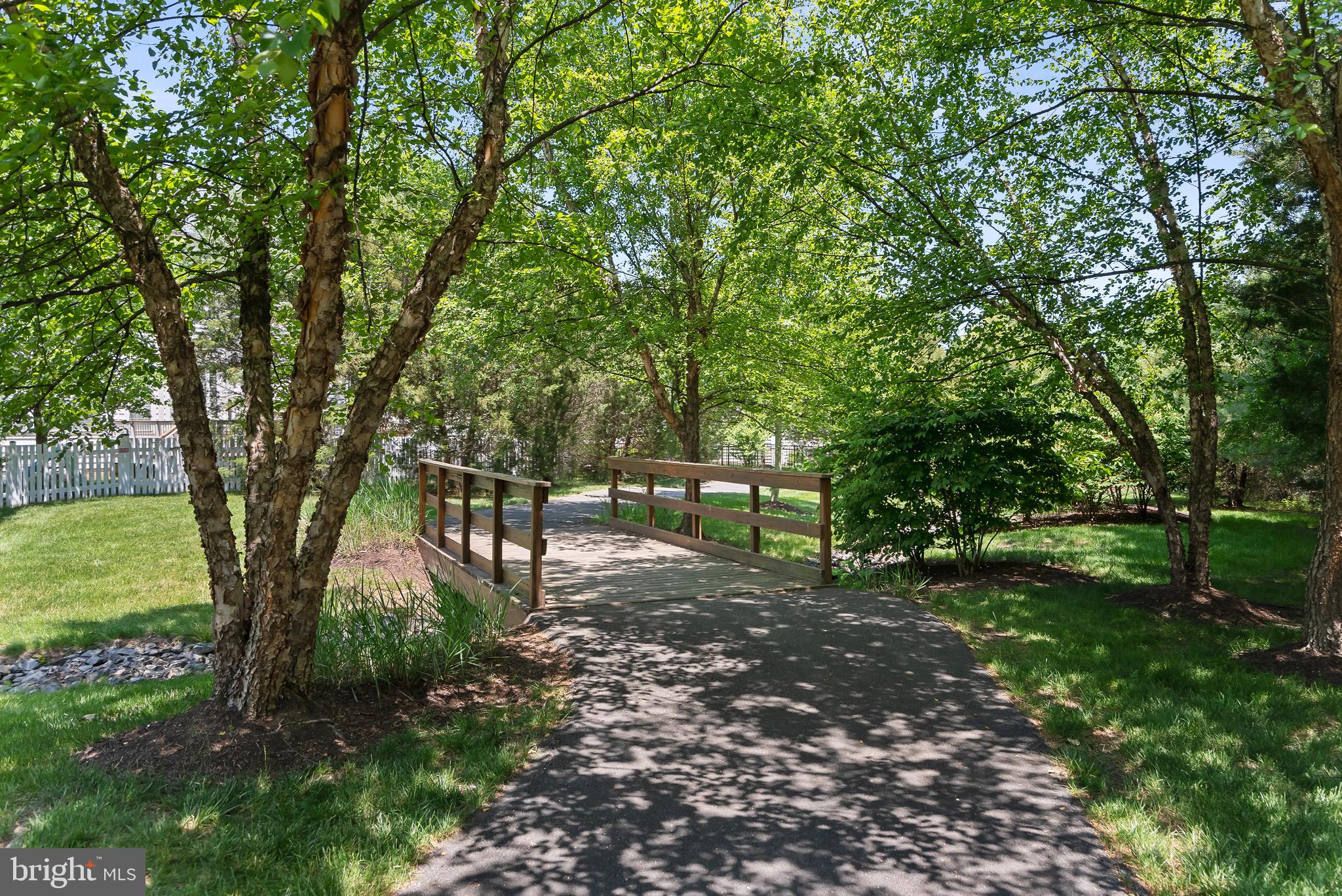 21340 Rainier Lane Broadlands, VA 20148 - Photo 59 of 62 a backyard of a house with lots of green space