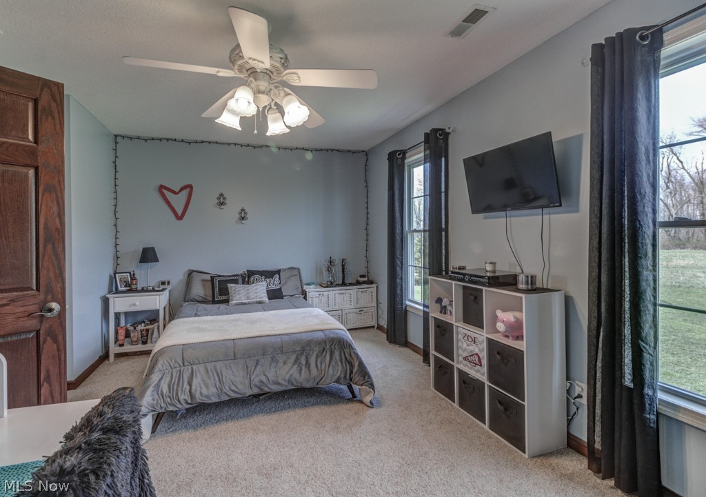 11414 Walker Road Minerva, OH 44657 - Photo 24 of 30 Gallery Image 24