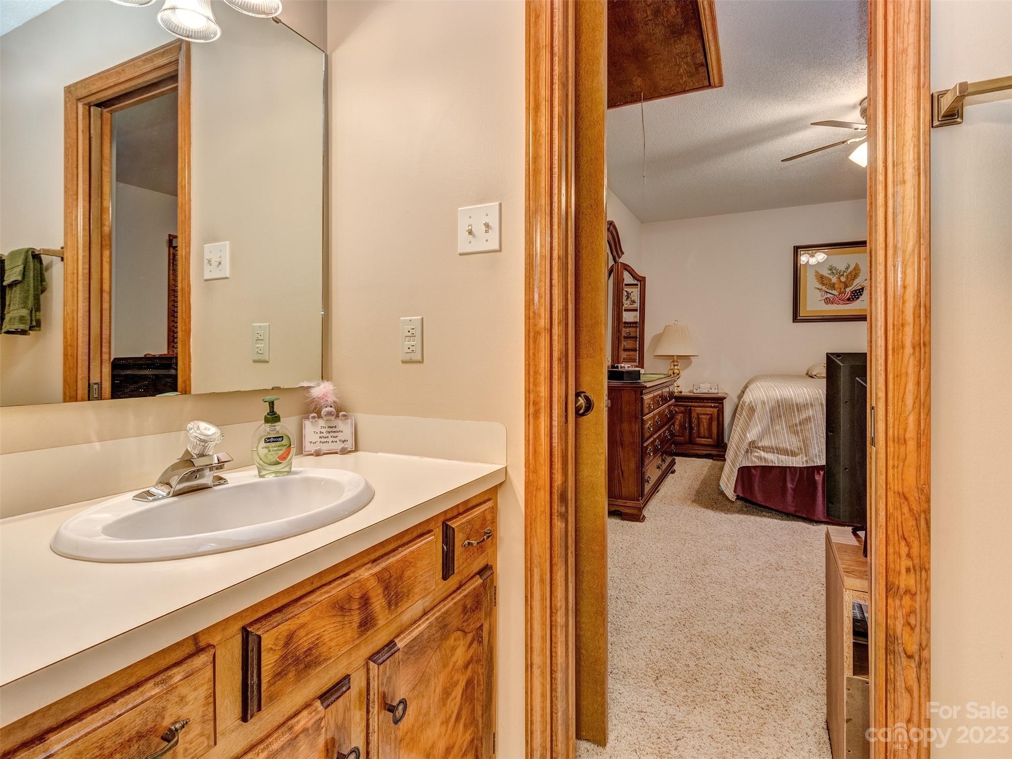 1967 Ebenezer Road Rock Hill, SC 29732 - Photo 16 of 26 a en suite bathroom with a sink and a mirror