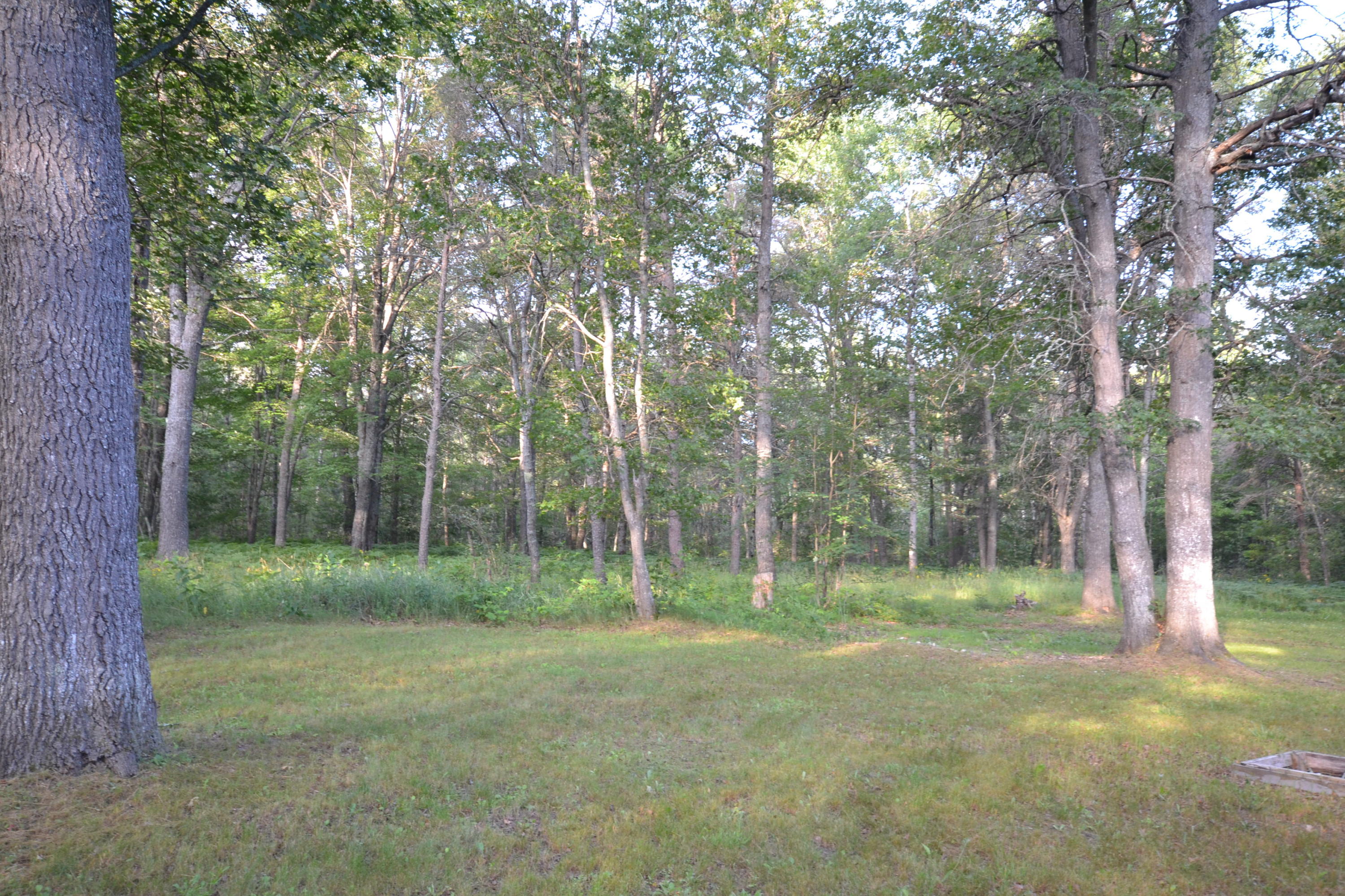 2355 Hill Road Lewiston, MI 49756 - Photo 2 of 10 Gallery Image 2