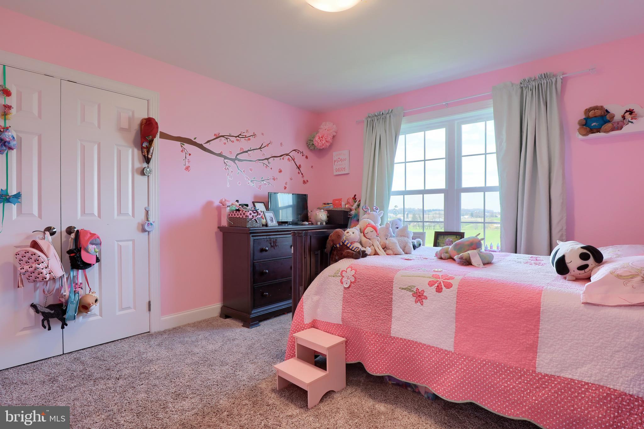 526 Garnet Lane Lititz, PA 17543 - Photo 28 of 36
