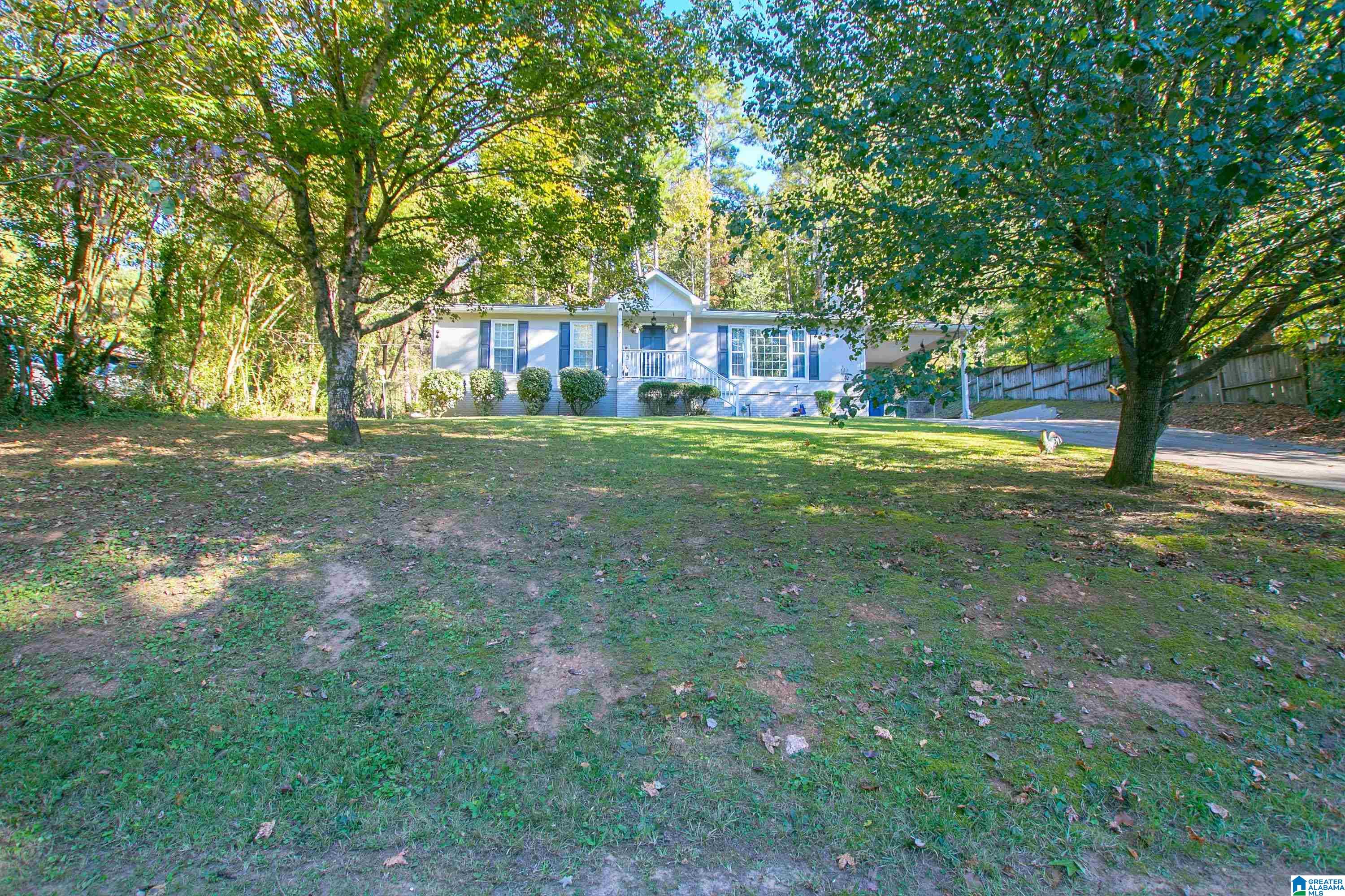 811 Sunshine Avenue Oneonta, AL 35121 - Photo 1 of 49