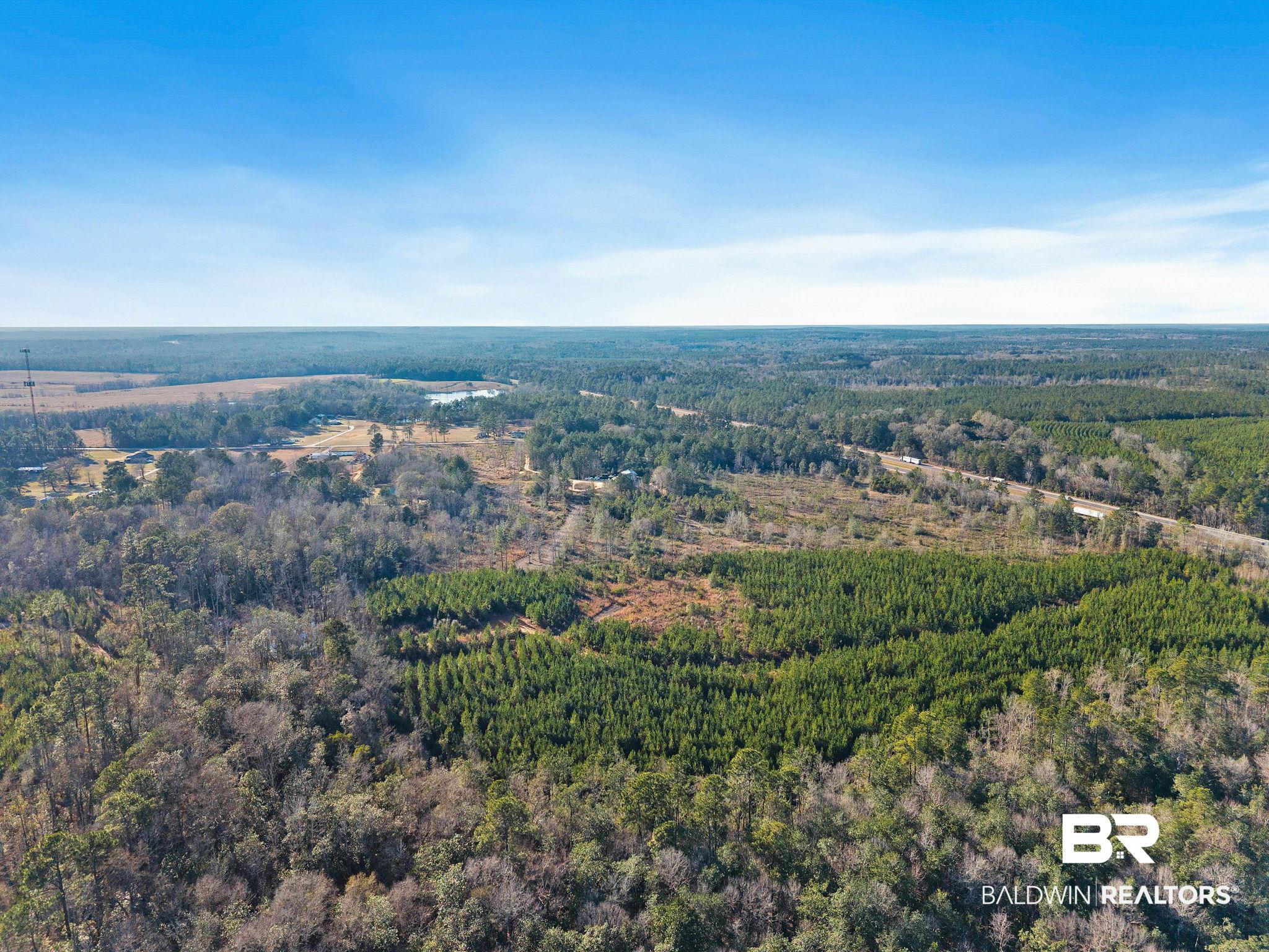 55750 Lottie Road Perdido, AL 36562 - Photo 2 of 84 Aerial view of property and surrounding area featuring a forest