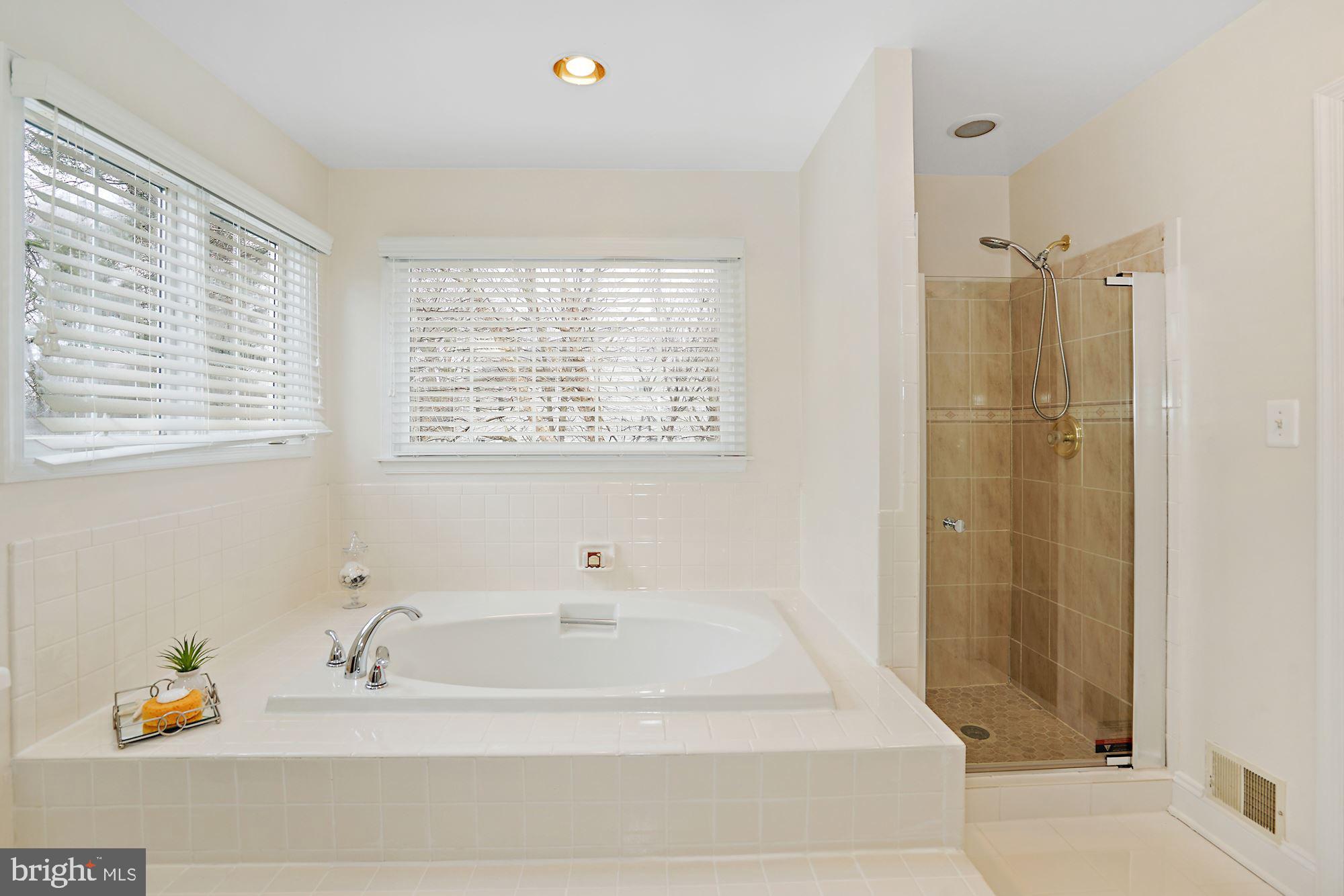 7110 Dudrow Court Springfield, VA 22150 - Photo 38 of 51 Master Bathroom