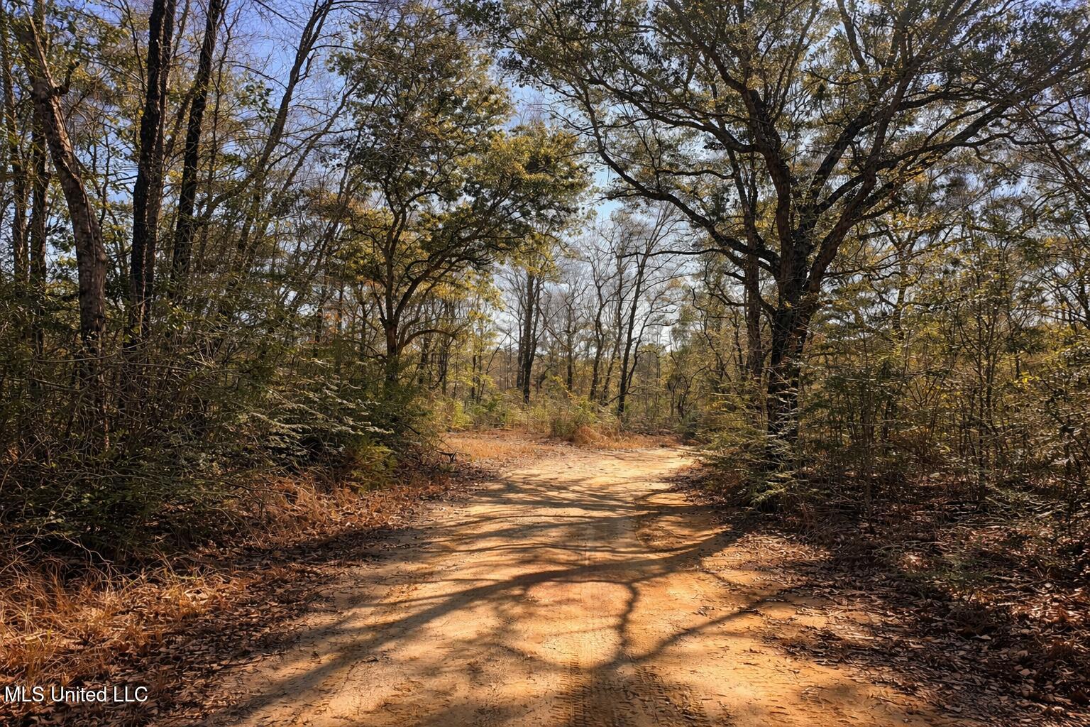 3 Standard Cemetery Road Kiln, MS 39556 - Photo 5 of 9 A05C4E01-69FC-4F1E-A240-EF91408D4804