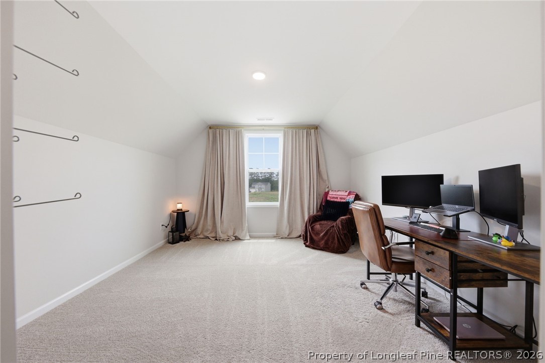 179 Palomo Place Raeford, NC 28376 - Photo 17 of 21