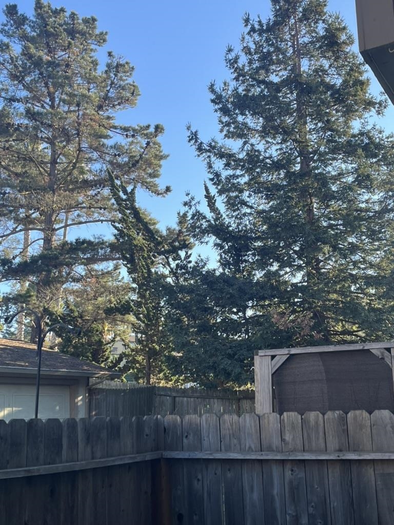 302 Ash Lane El Sobrante, CA 94803 - Photo 41 of 45