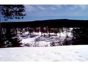 221 Michawanic Road, Unit 9 Wakefield, NH 03872 - Photo 4 of 6