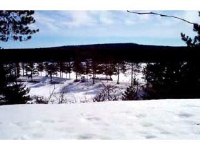221 Michawanic Road, Unit 9 Wakefield, NH 03872 - Photo 5 of 6