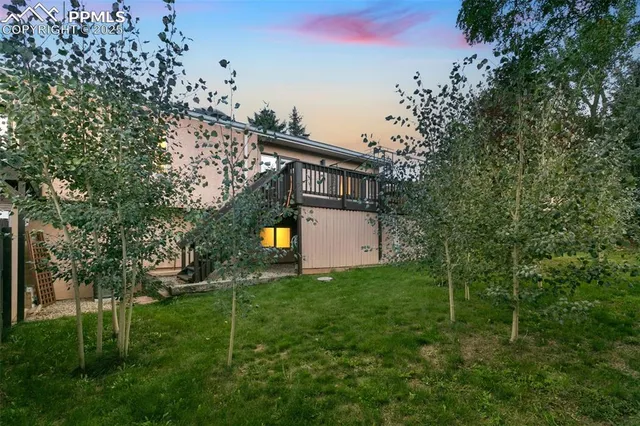 a view of a big yard with potted plants and large tree