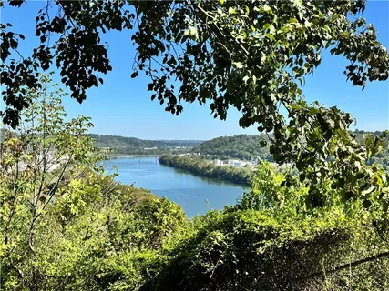 a view of a lake with a tree
