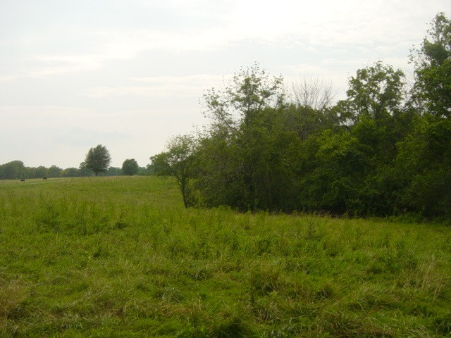 South Ripl SOUTH Ripl Road Dover, KY 41034 - Photo 13 of 14 Gallery Image 13