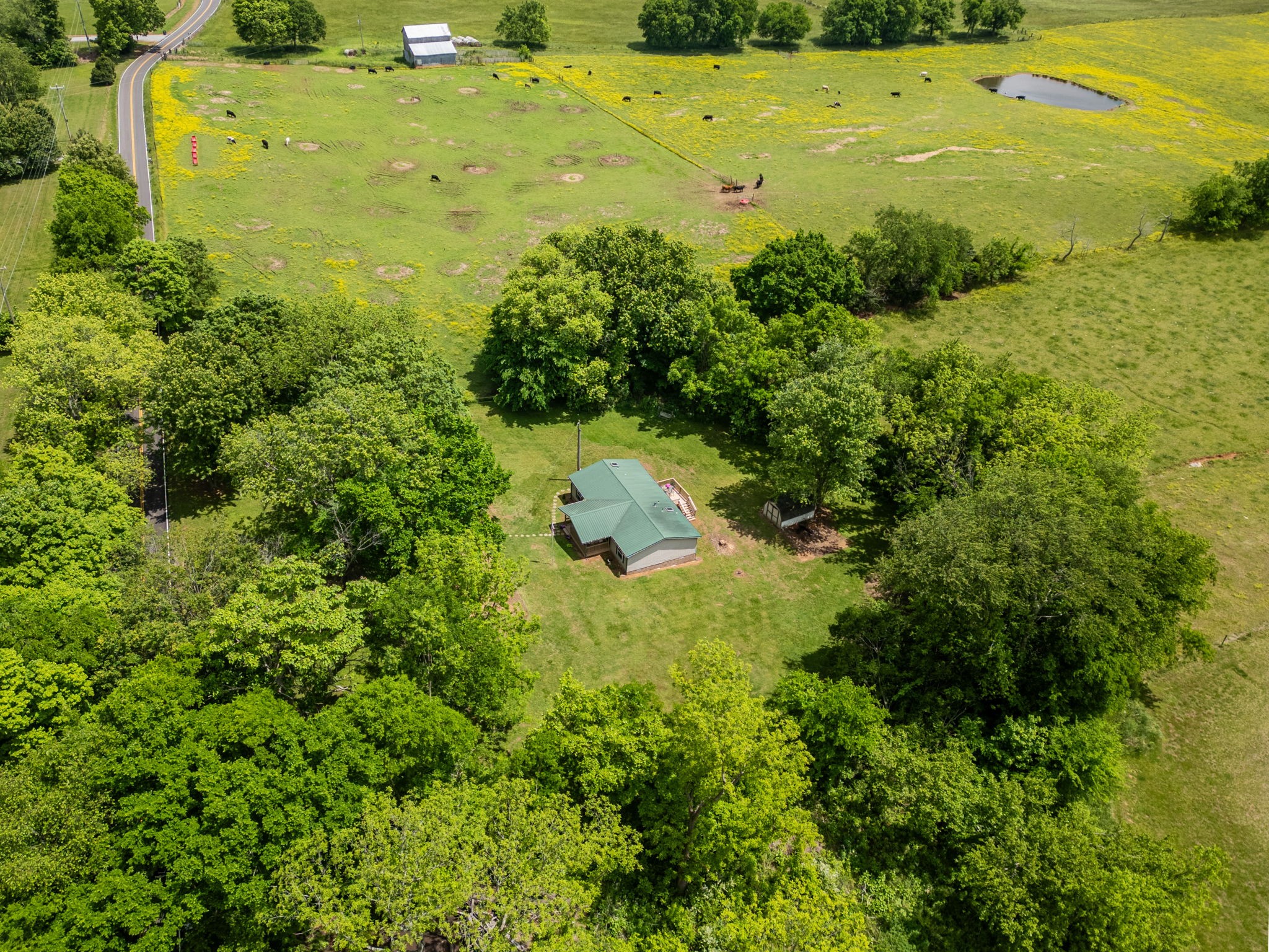 4012 Armstrong Road Springfield, TN 37172 - Photo 6 of 39 a view of a yard with an ocean