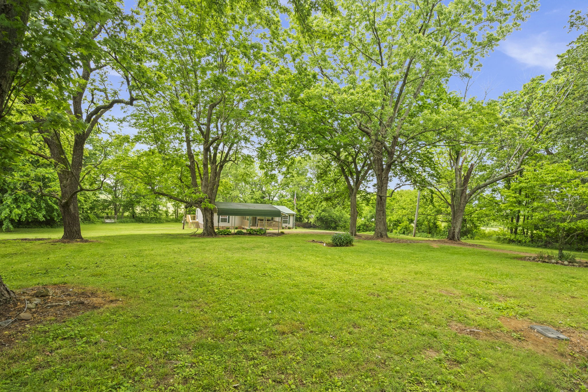 4012 Armstrong Road Springfield, TN 37172 - Photo 8 of 39 a view of a trees in a yard