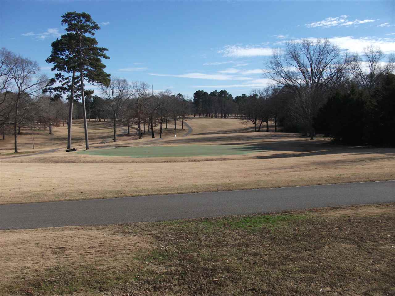 985 Old Road Counce, TN 38326 - Photo 5 of 24 Gallery Image 5