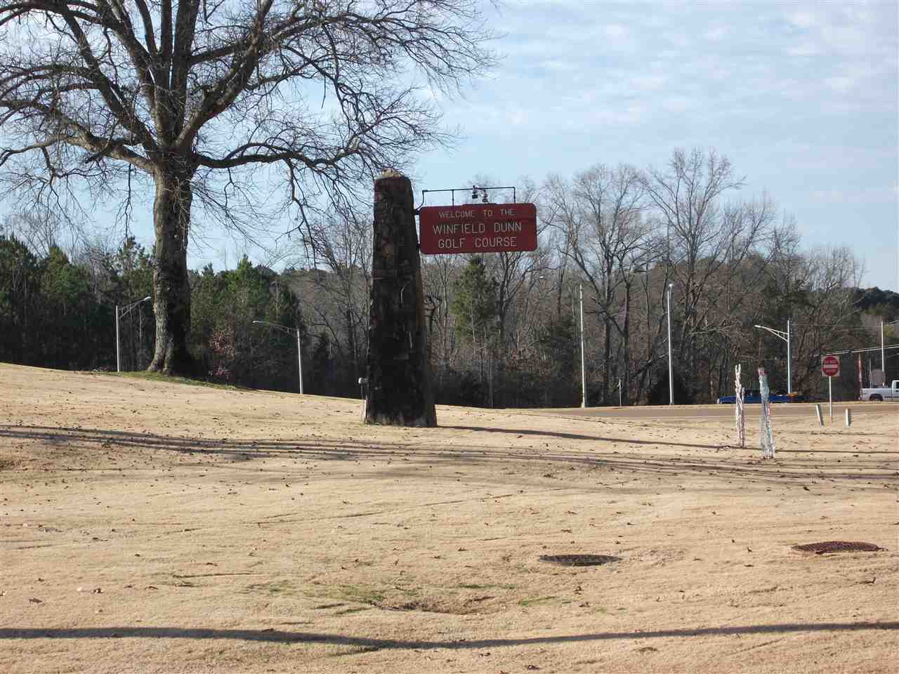 985 Old Road Counce, TN 38326 - Photo 8 of 24 Gallery Image 8