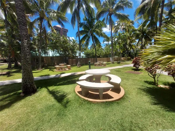 a view of a swimming pool with a yard and palm trees