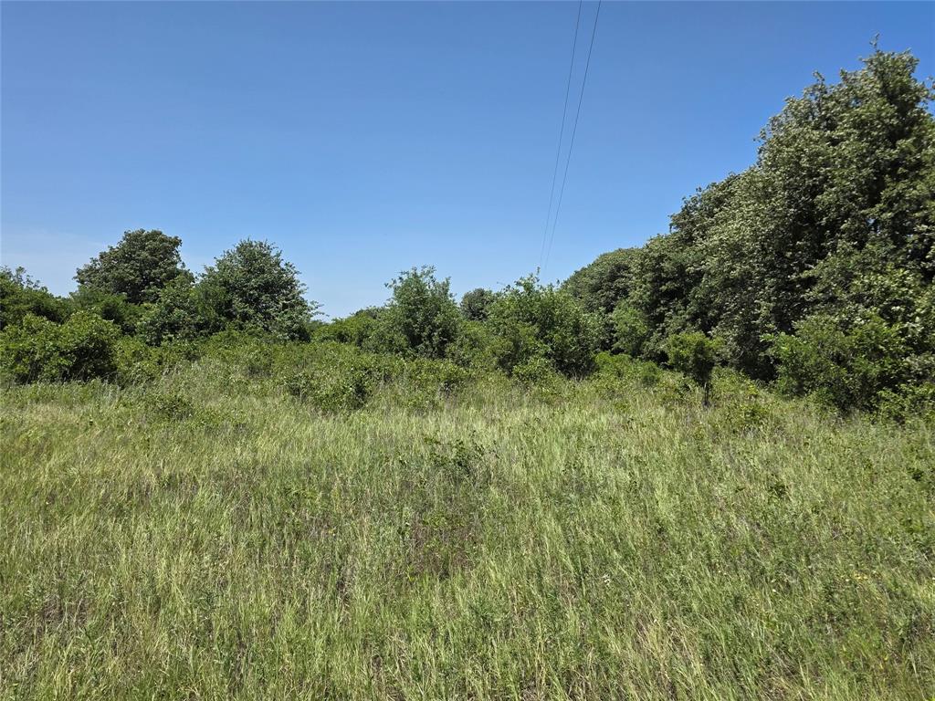 1000 County Road 375 Rising Star, TX 76471 - Photo 38 of 40
